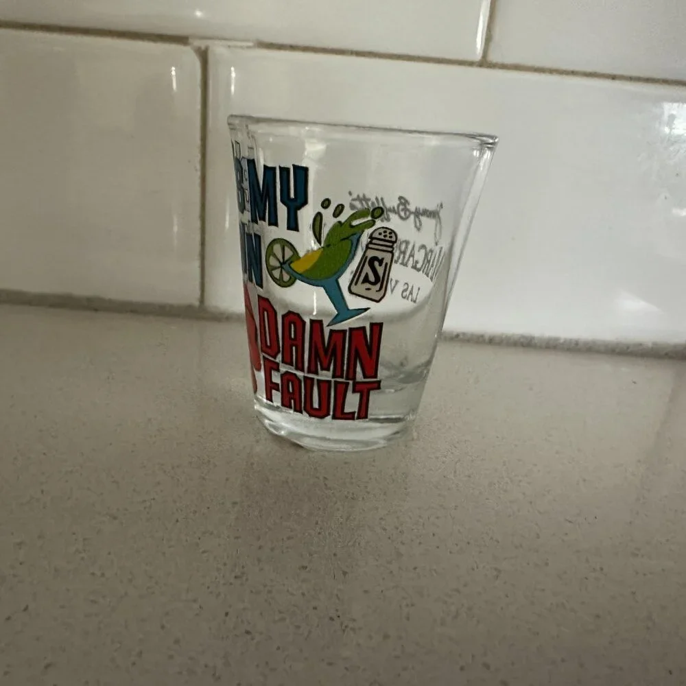 It's My Own Damn Fault - Shot Glass